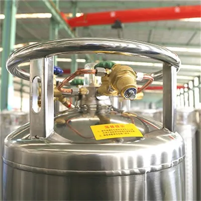 Koji su znaci da je potrebno održavanje Dewarove boce za LNG?